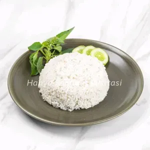 Nasi Biasa